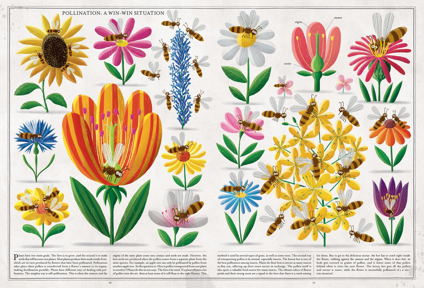 Bees: A Honeyed History