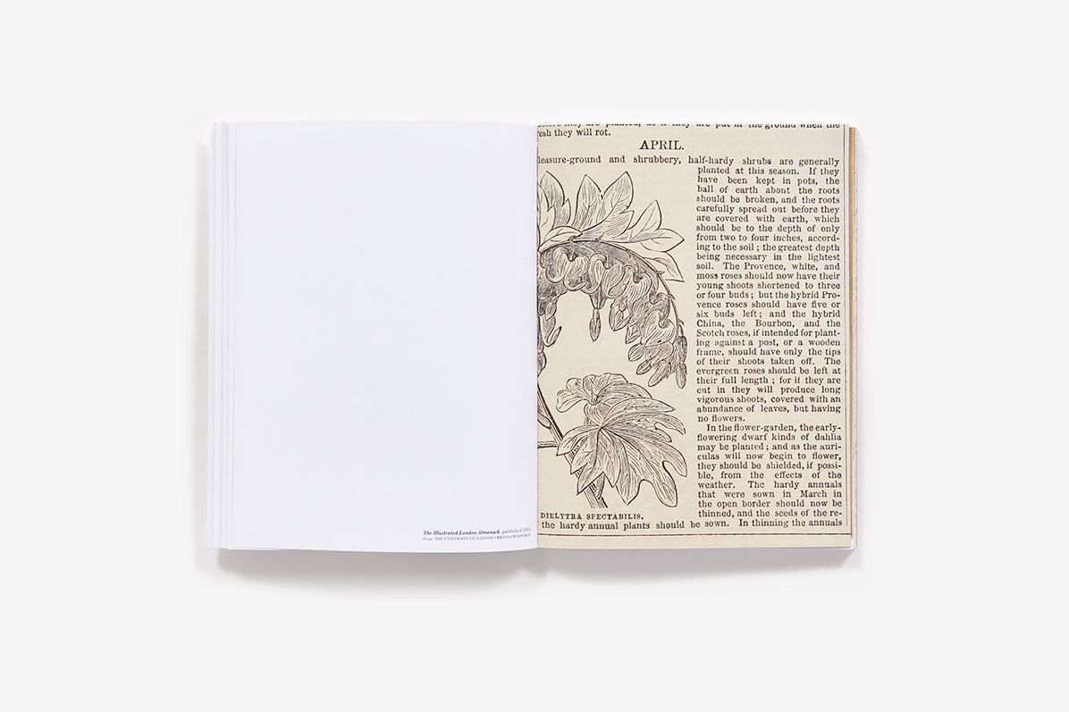 Make Blackout Poetry: Turn These Pages into Poems