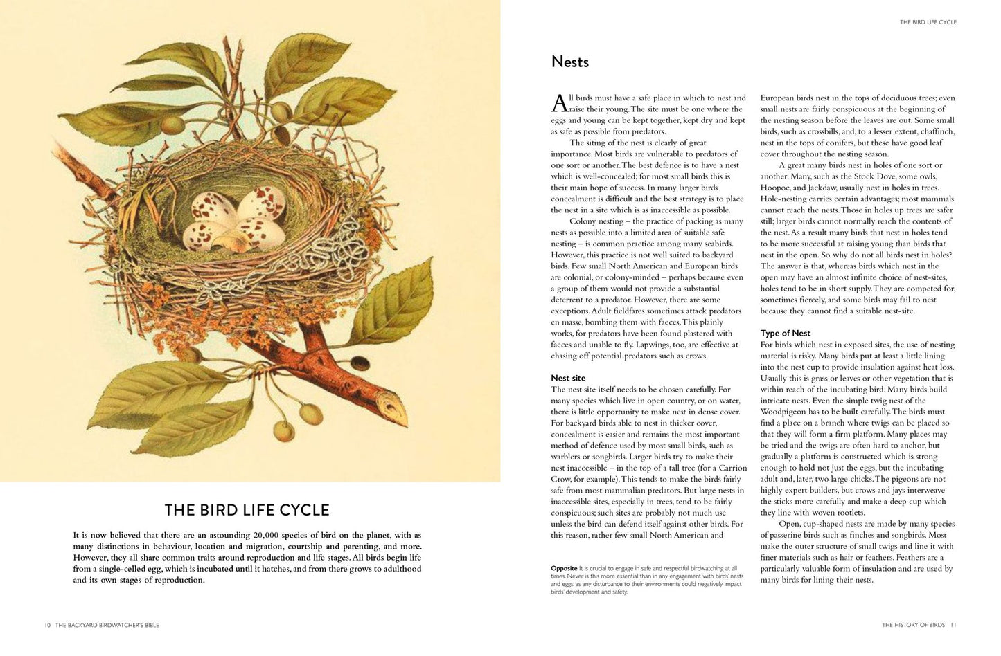 The Backyard Birdwatcher's Bible: Birds, Behaviors, Habitats, Identification, Art & Other Home Crafts