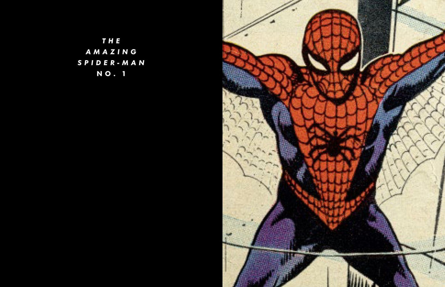 Spider-Man: Panel by Panel