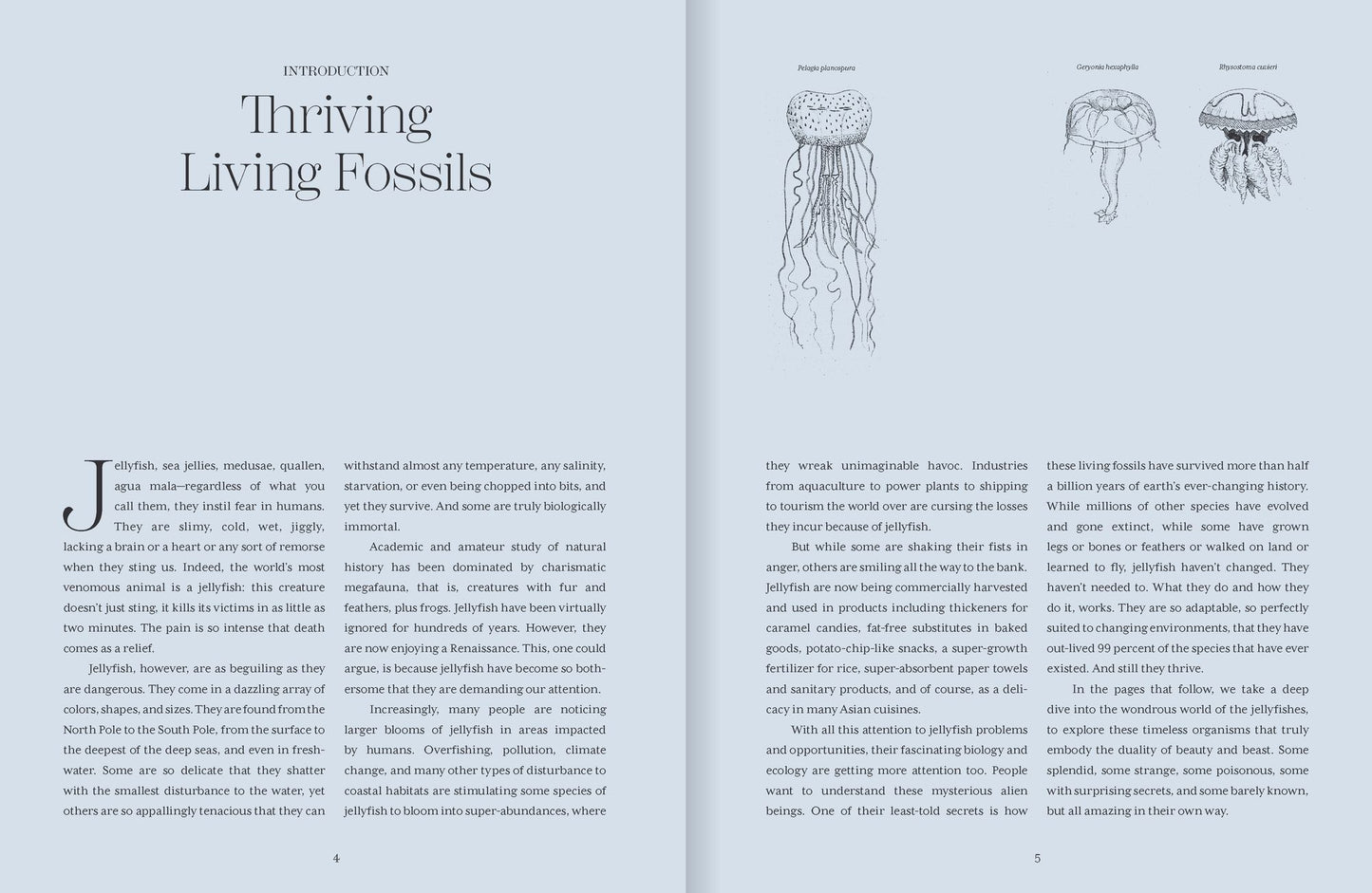 Shapeshifters: The Wondrous World of Jellyfish