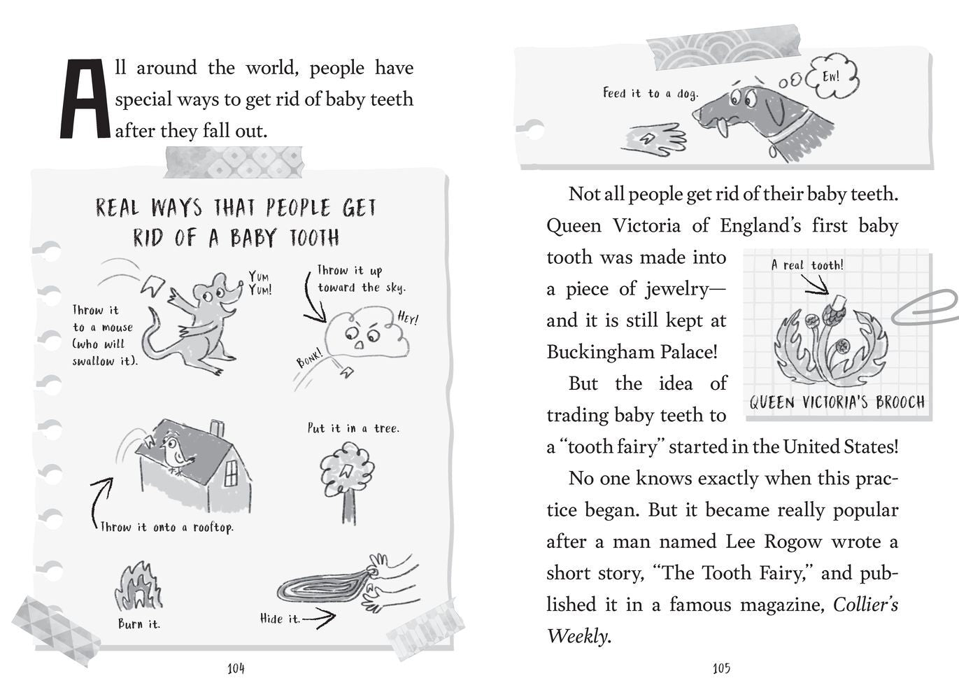The Truth About the Tooth Fairy (Miriam's Magical Creature Files #1)