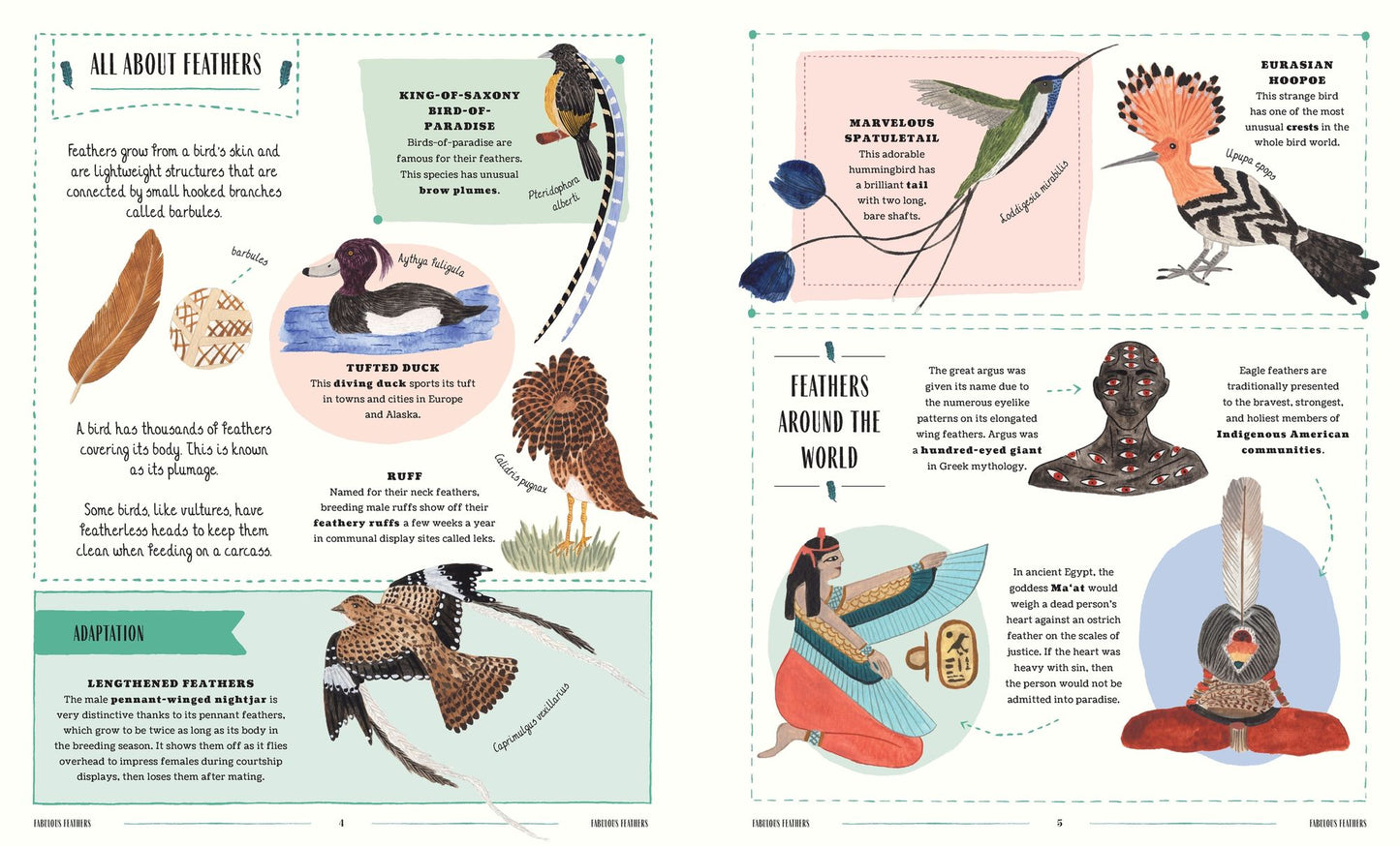 Fly: A Family Guide to Birds and How to Spot Them