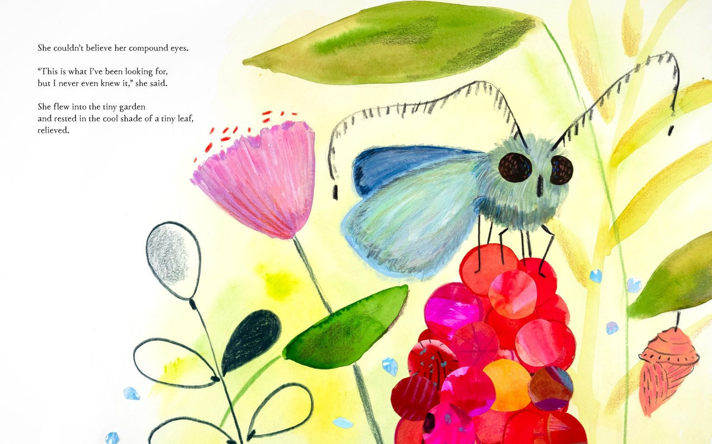 Tiny Garden: A Picture Book