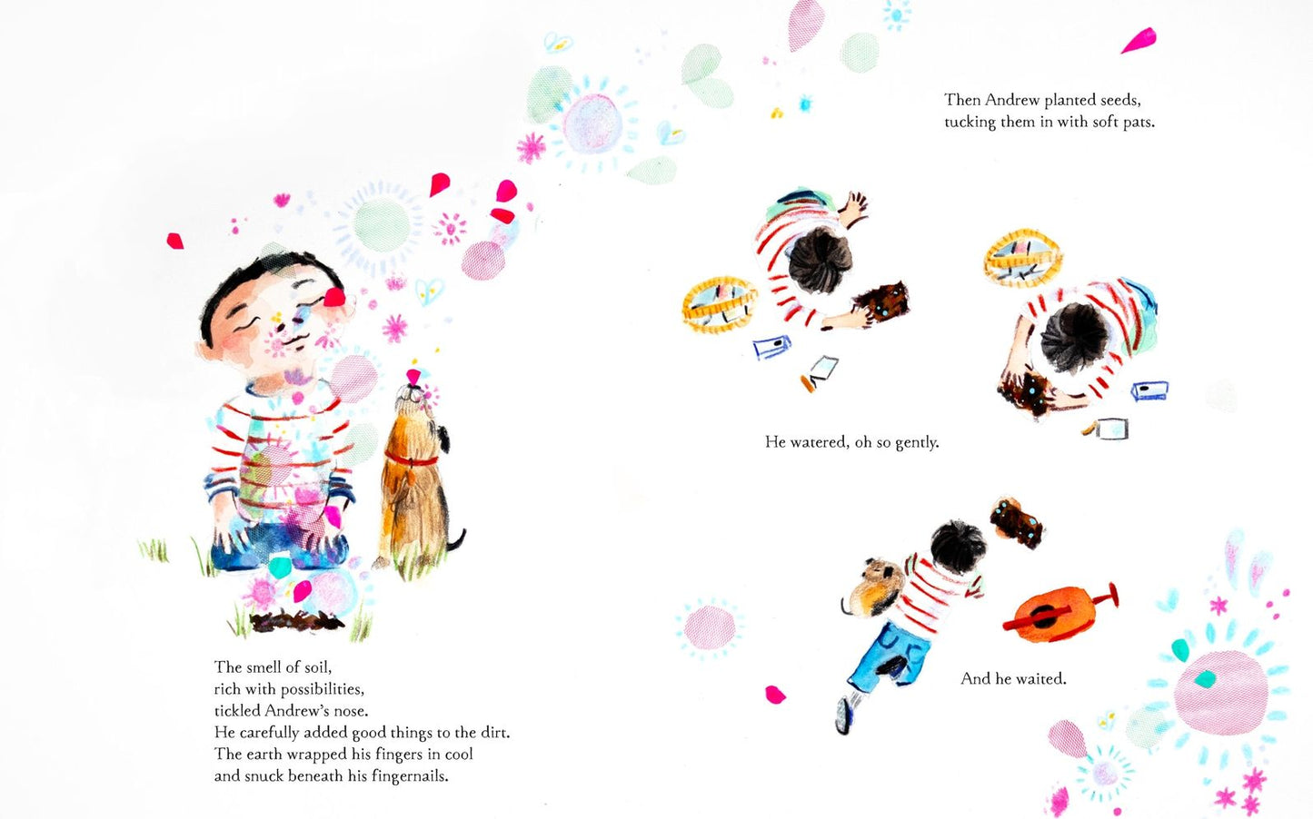 Tiny Garden: A Picture Book