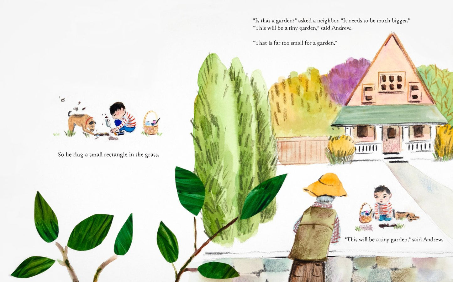 Tiny Garden: A Picture Book