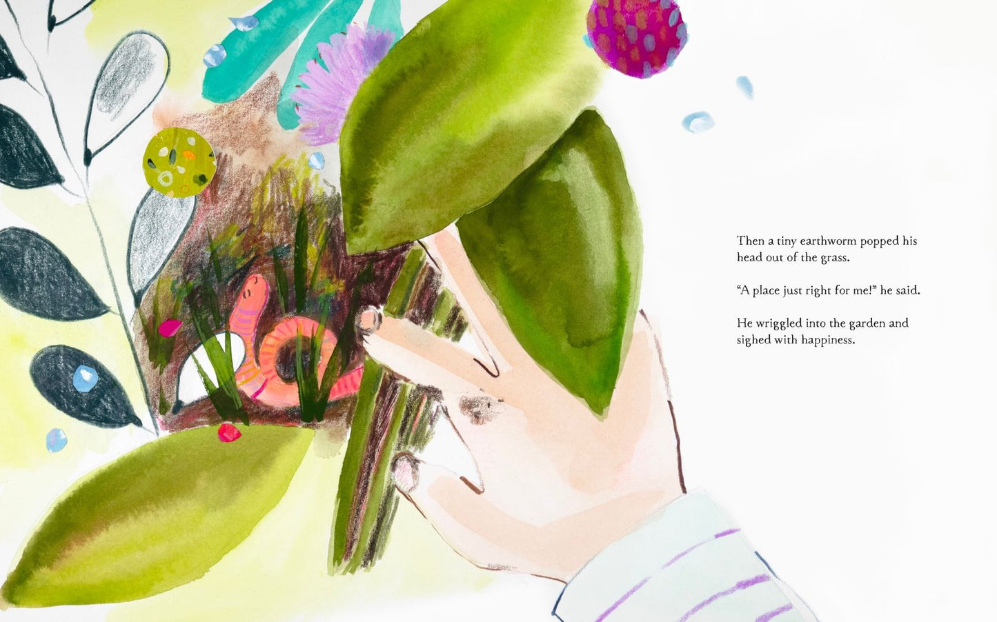 Tiny Garden: A Picture Book