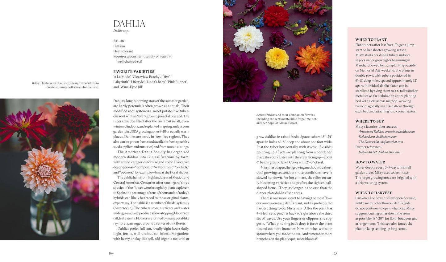 The Flower Farmers: Inspiration and Advice from Expert Growers