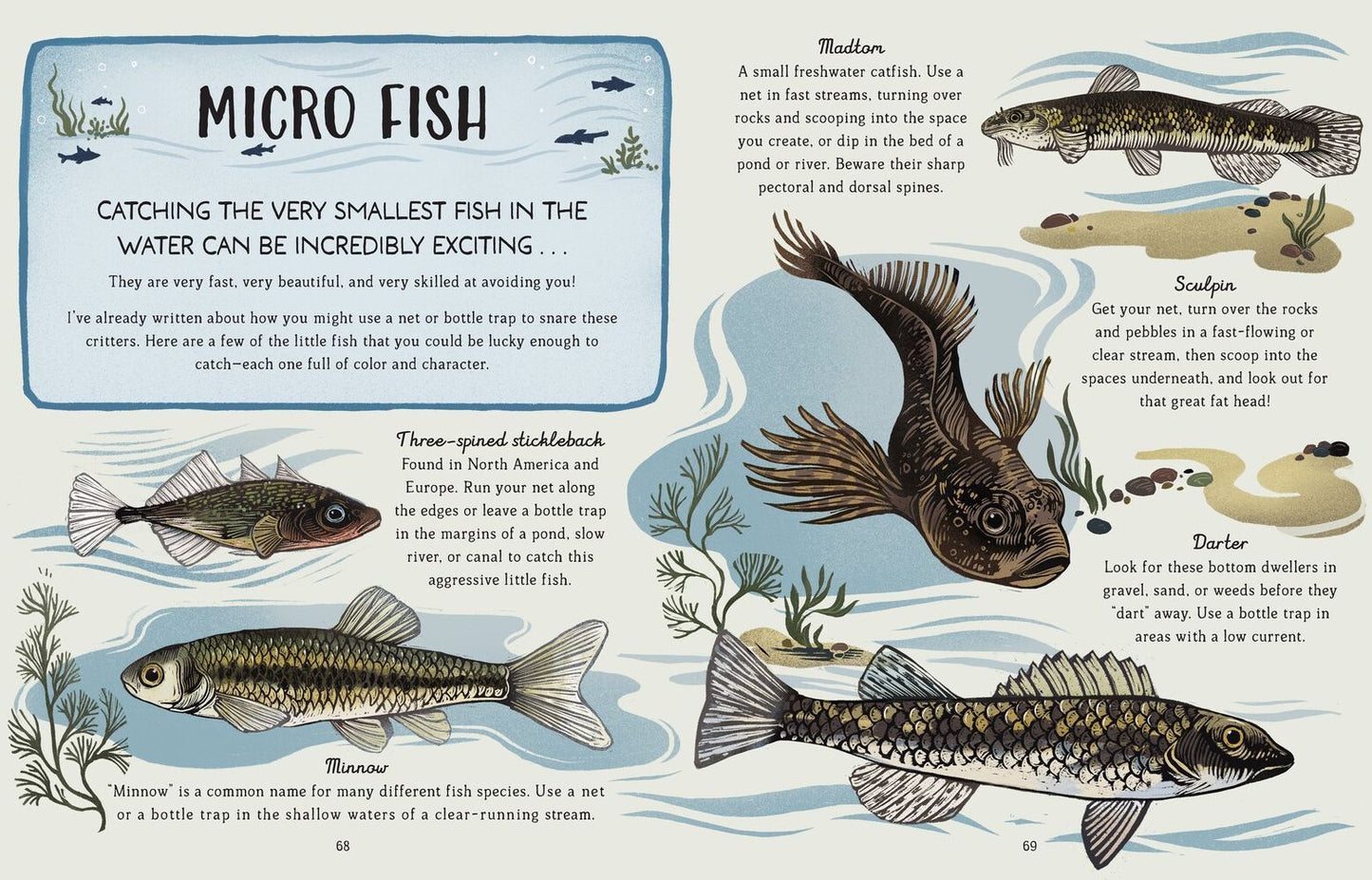 My First Day Fishing: A Beginner's Guide