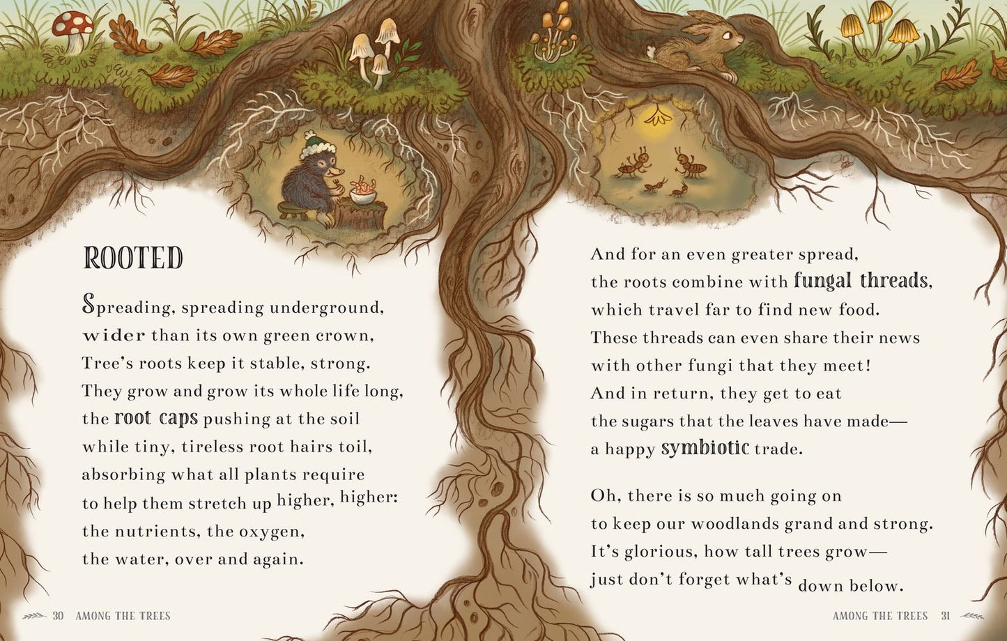 Wisdom of the Woods: 40 Nature Poems Passed Down from Bear to Bear