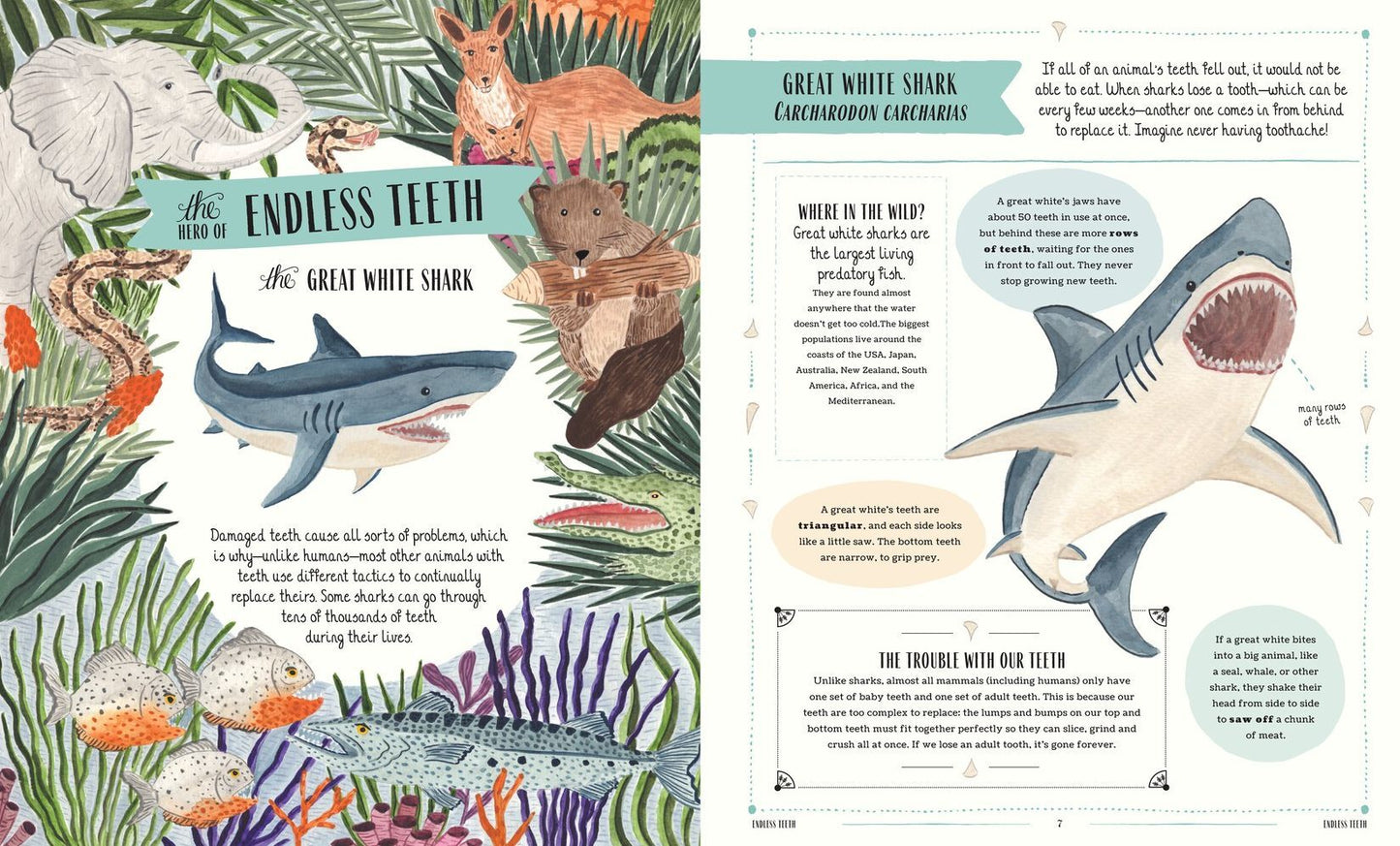 Wild: A Family Guide to the Animal Kingdom