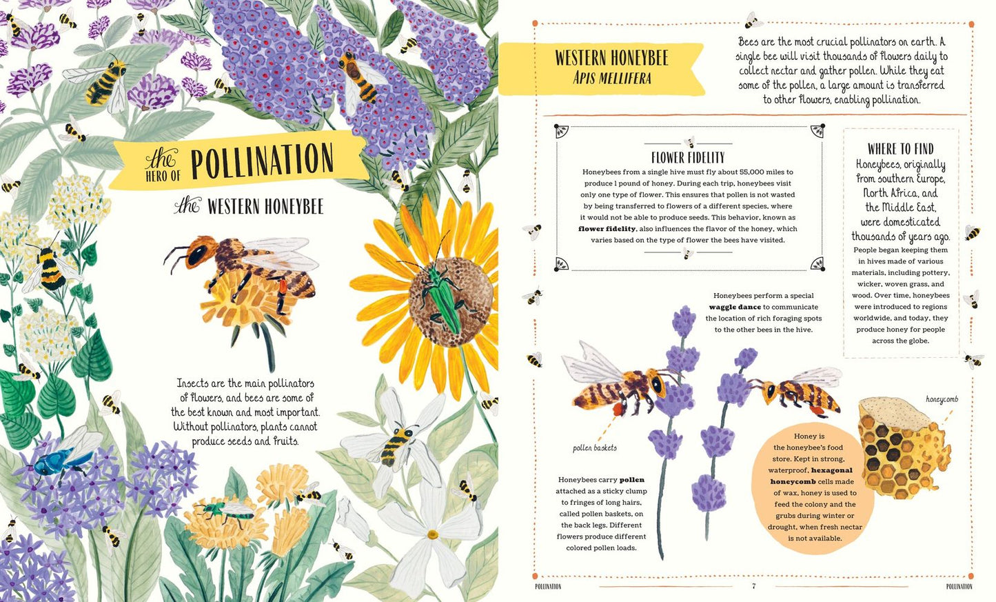 Buzz: A Family Guide to Bugs and How to Spot Them