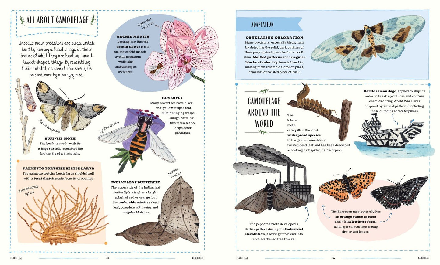 Buzz: A Family Guide to Bugs and How to Spot Them