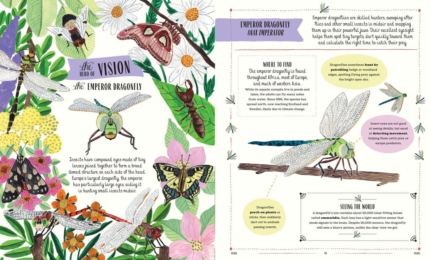 Buzz: A Family Guide to Bugs and How to Spot Them