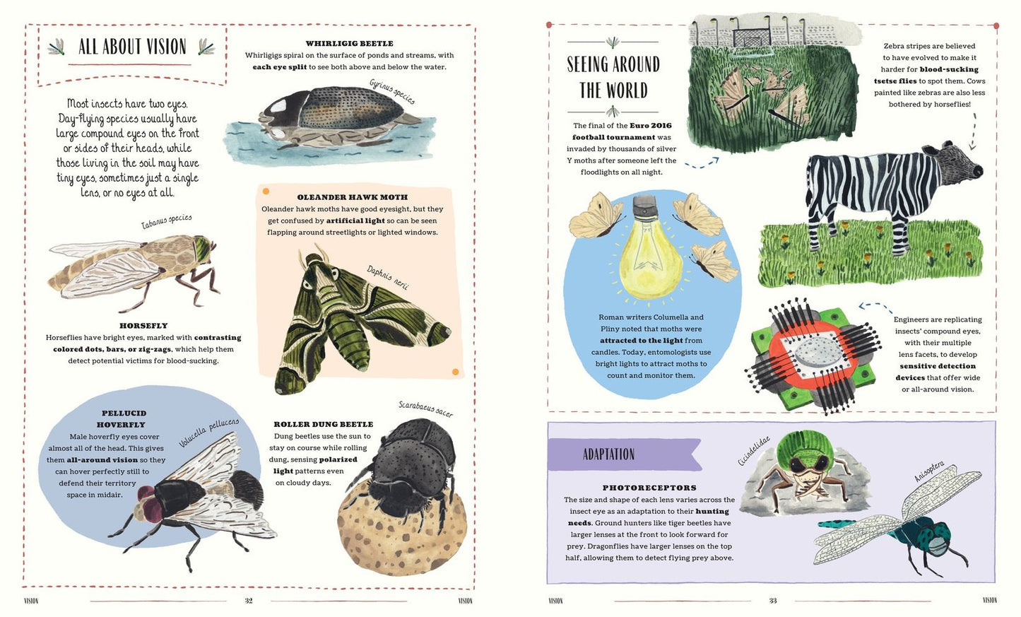 Buzz: A Family Guide to Bugs and How to Spot Them