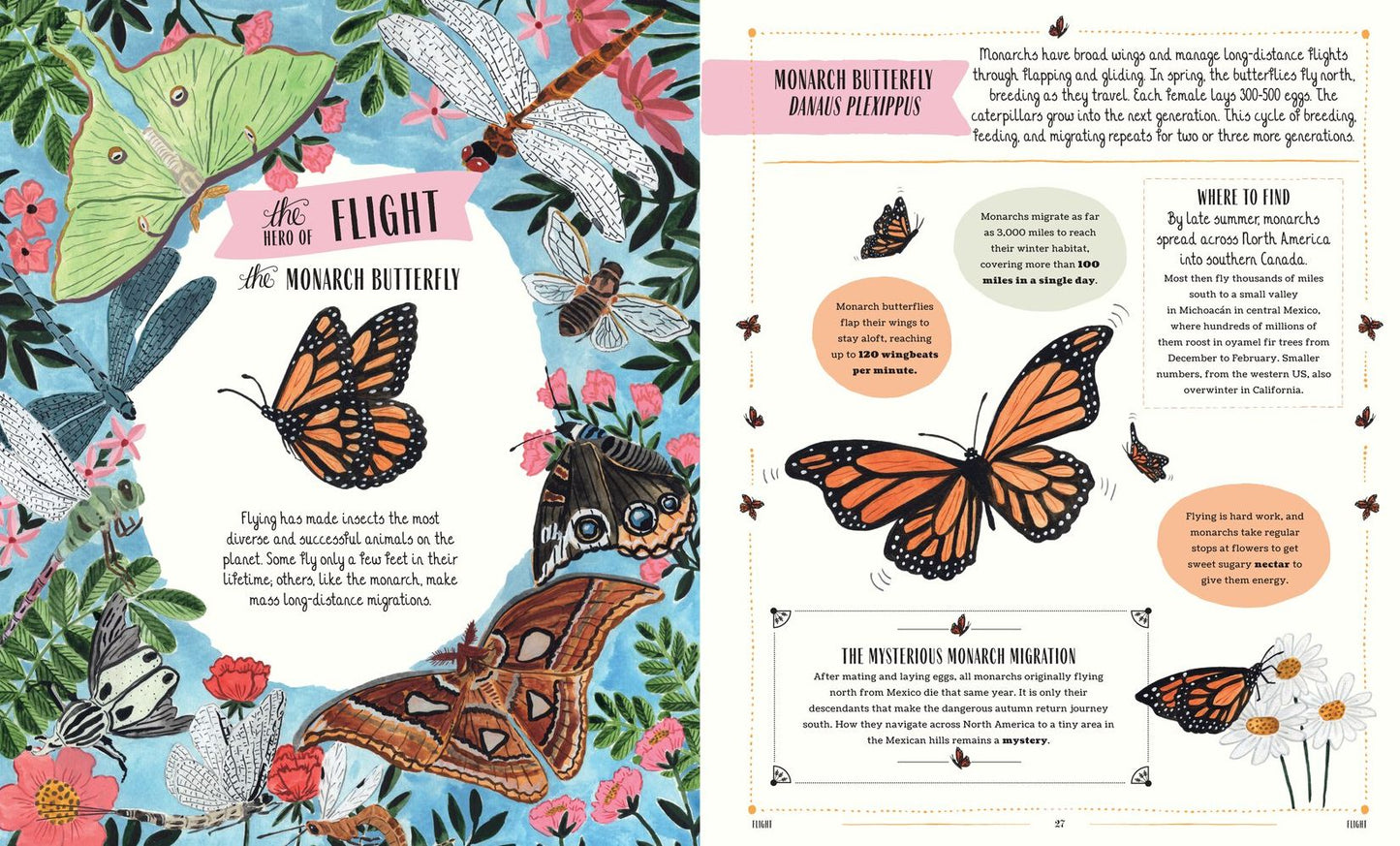 Buzz: A Family Guide to Bugs and How to Spot Them
