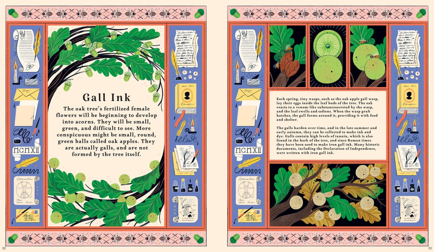 Woodlore: Discover the Seasons and Stories of the Forest