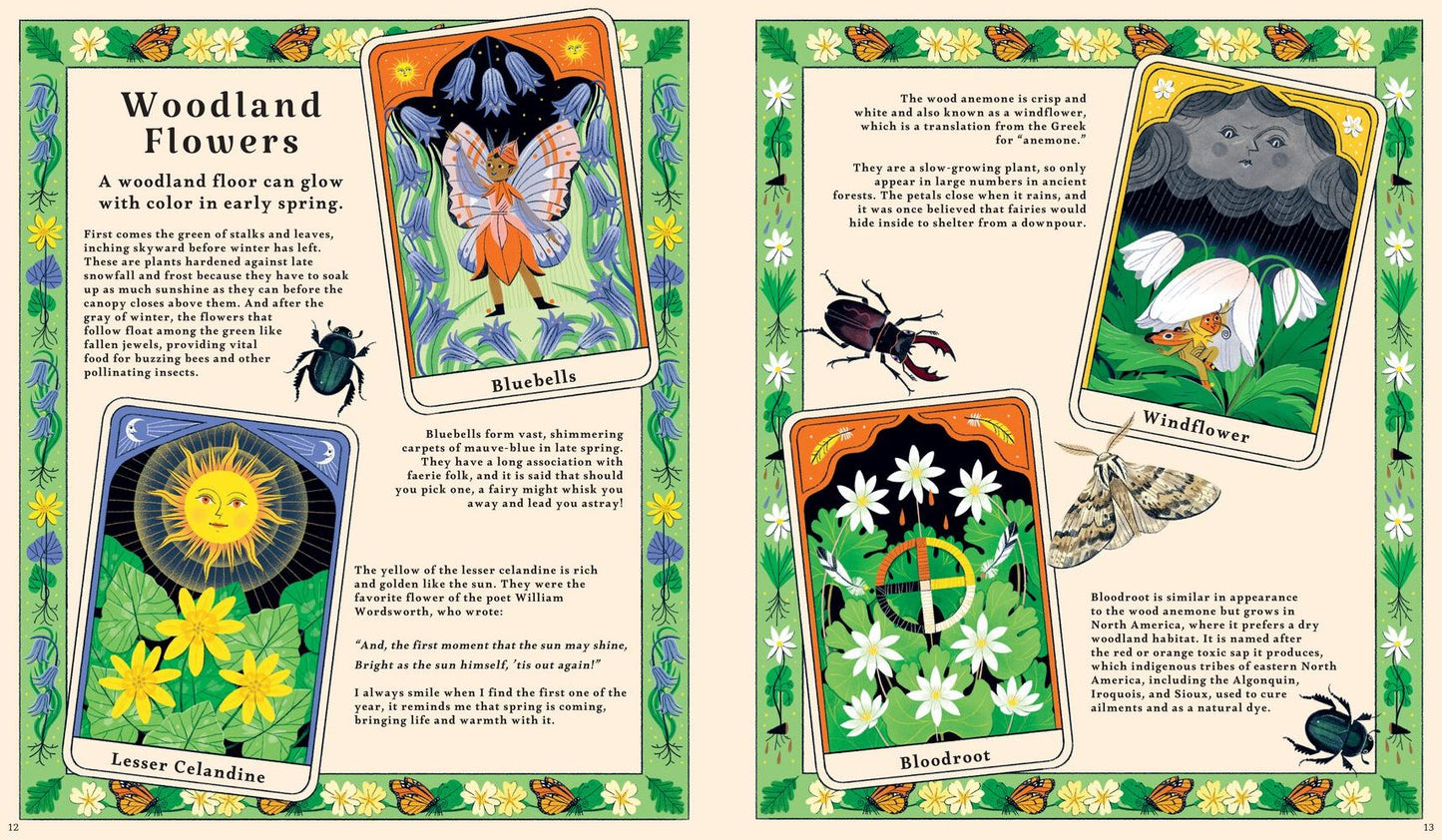 Woodlore: Discover the Seasons and Stories of the Forest