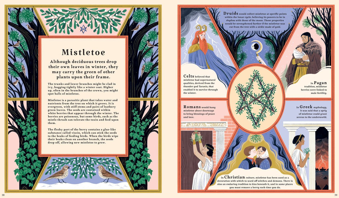 Woodlore: Discover the Seasons and Stories of the Forest