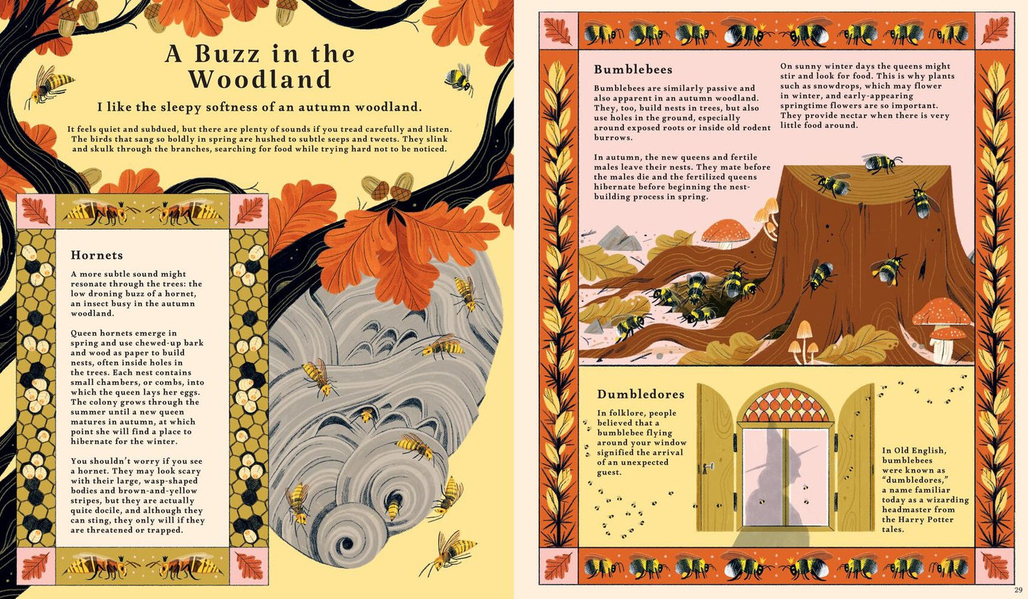 Woodlore: Discover the Seasons and Stories of the Forest