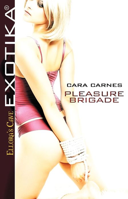 Pleasure Brigade