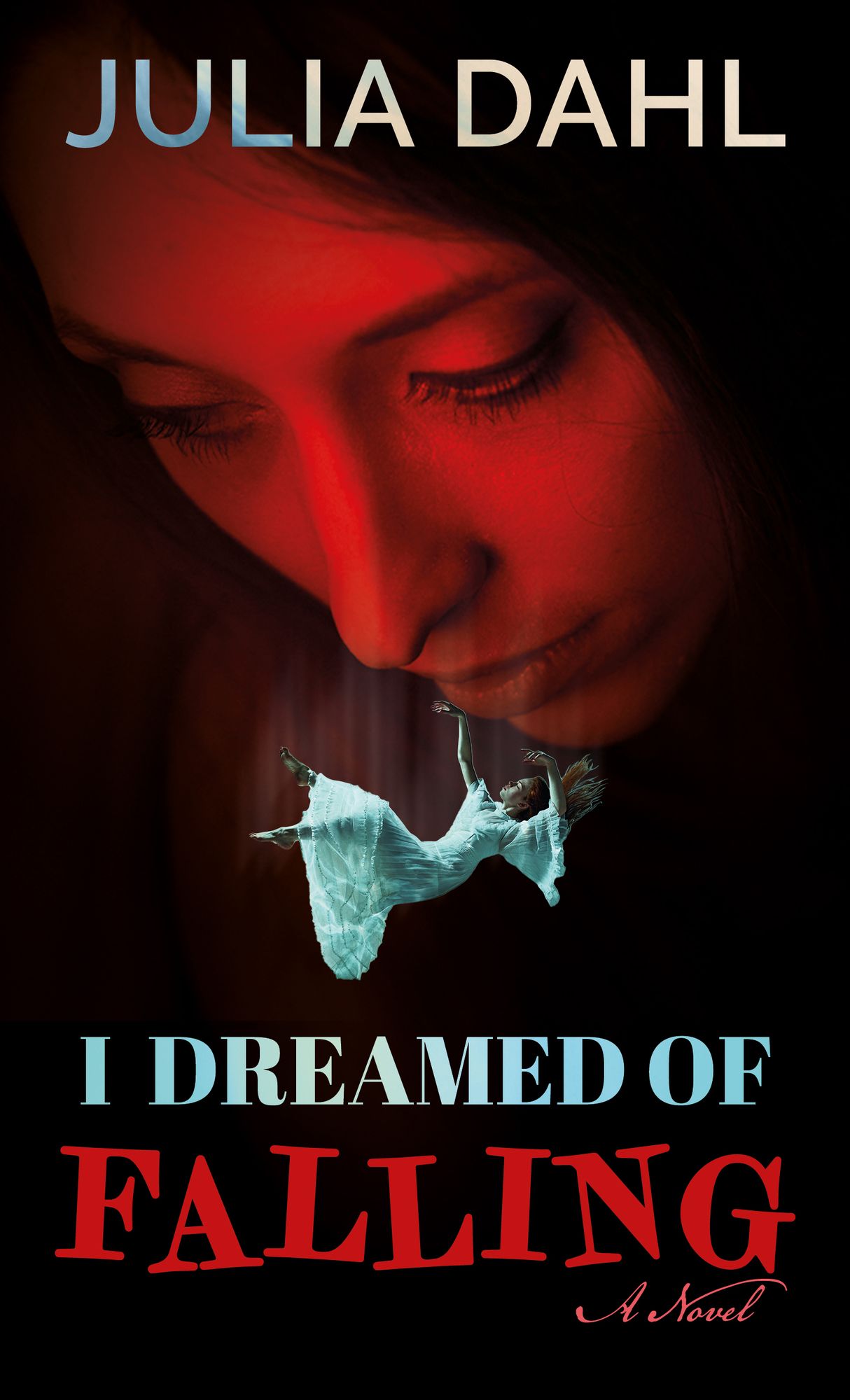 I Dreamed of Falling: A Novel