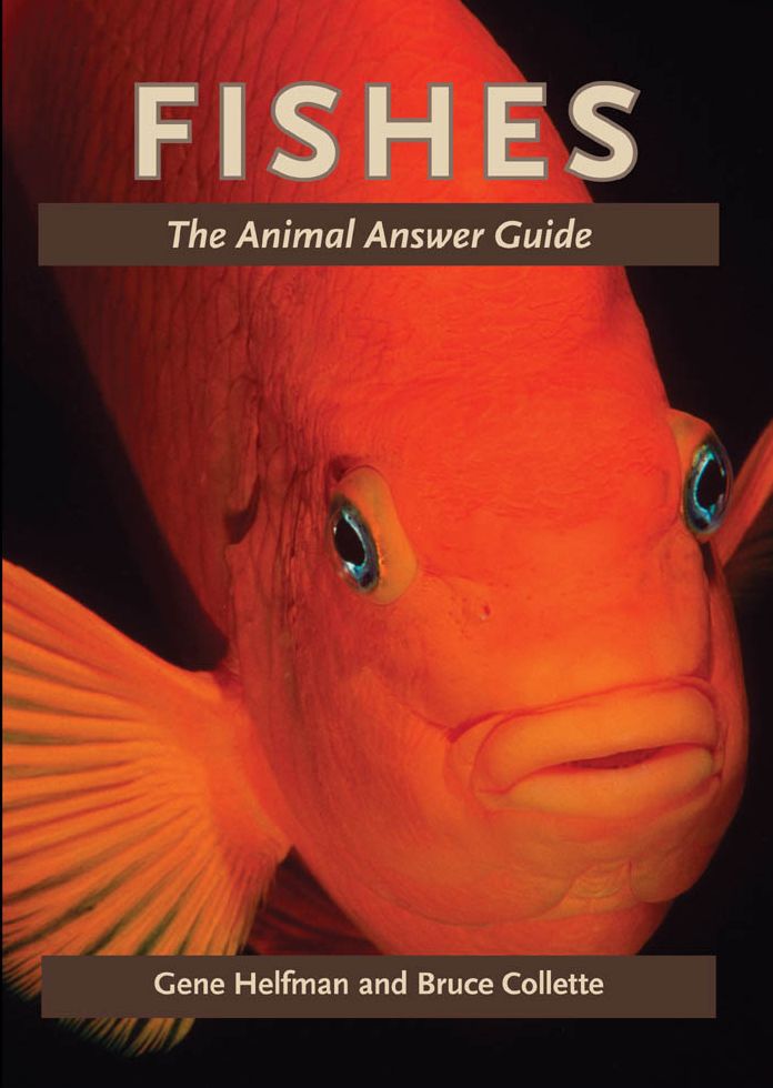 Fishes: The Animal Answer Guide