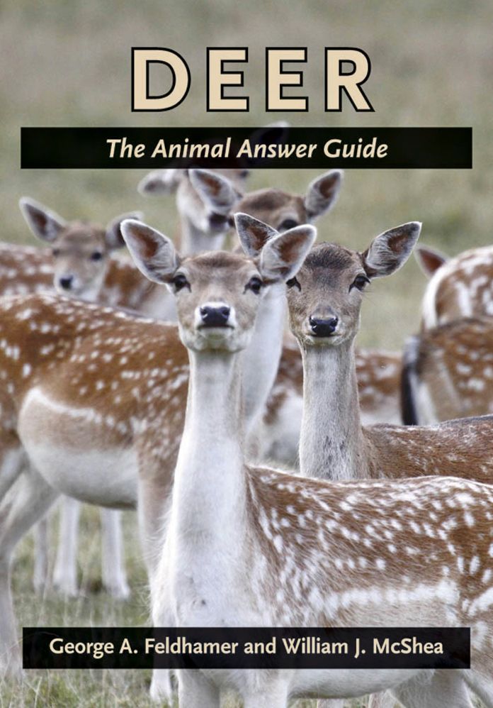 Deer: The Animal Answer Guide