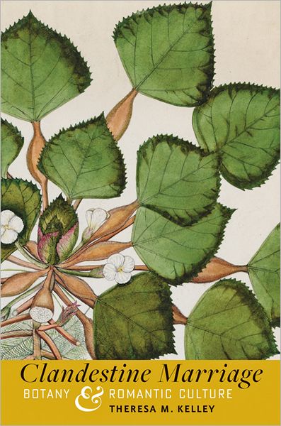 Clandestine Marriage: Botany and Romantic Culture