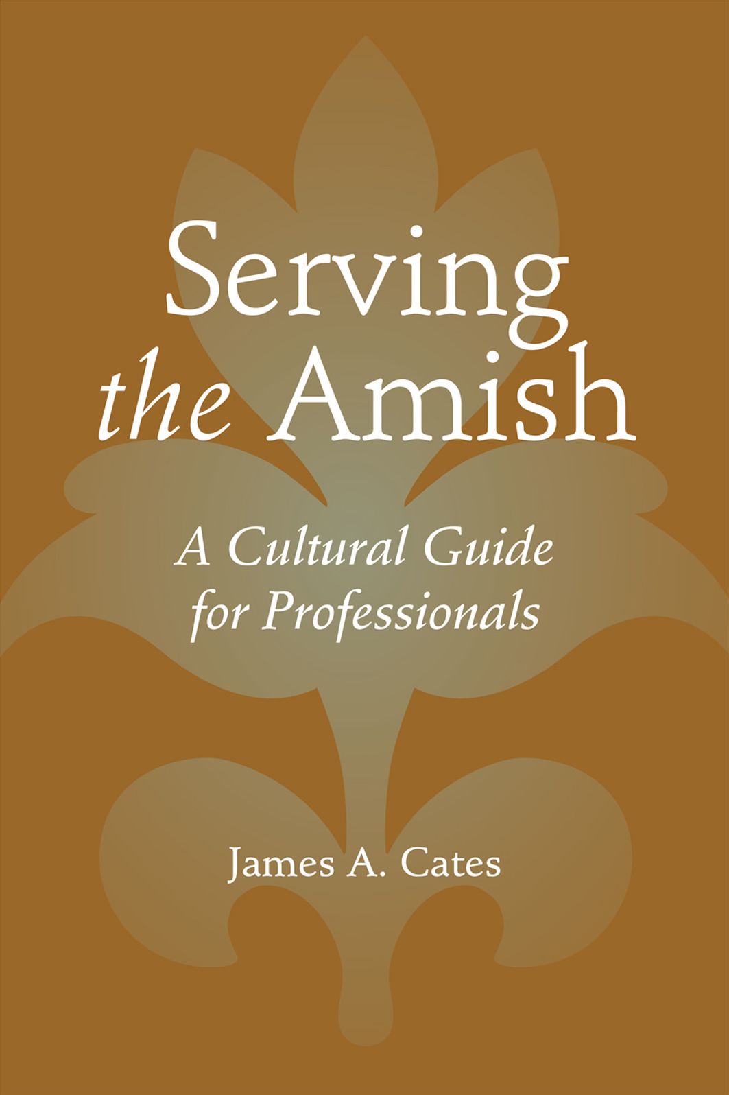 Serving the Amish: A Cultural Guide for Professionals