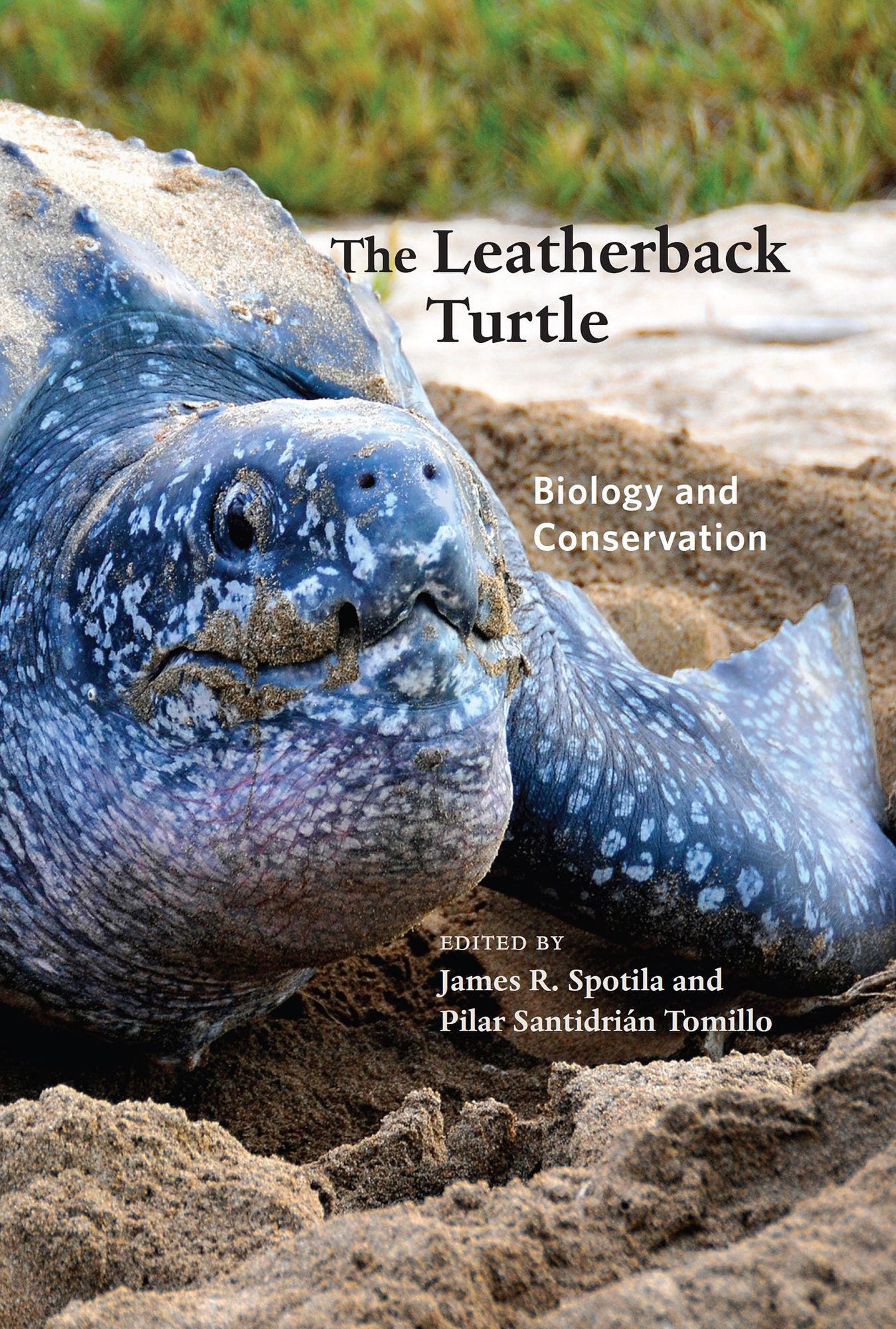 The Leatherback Turtle: Biology and Conservation