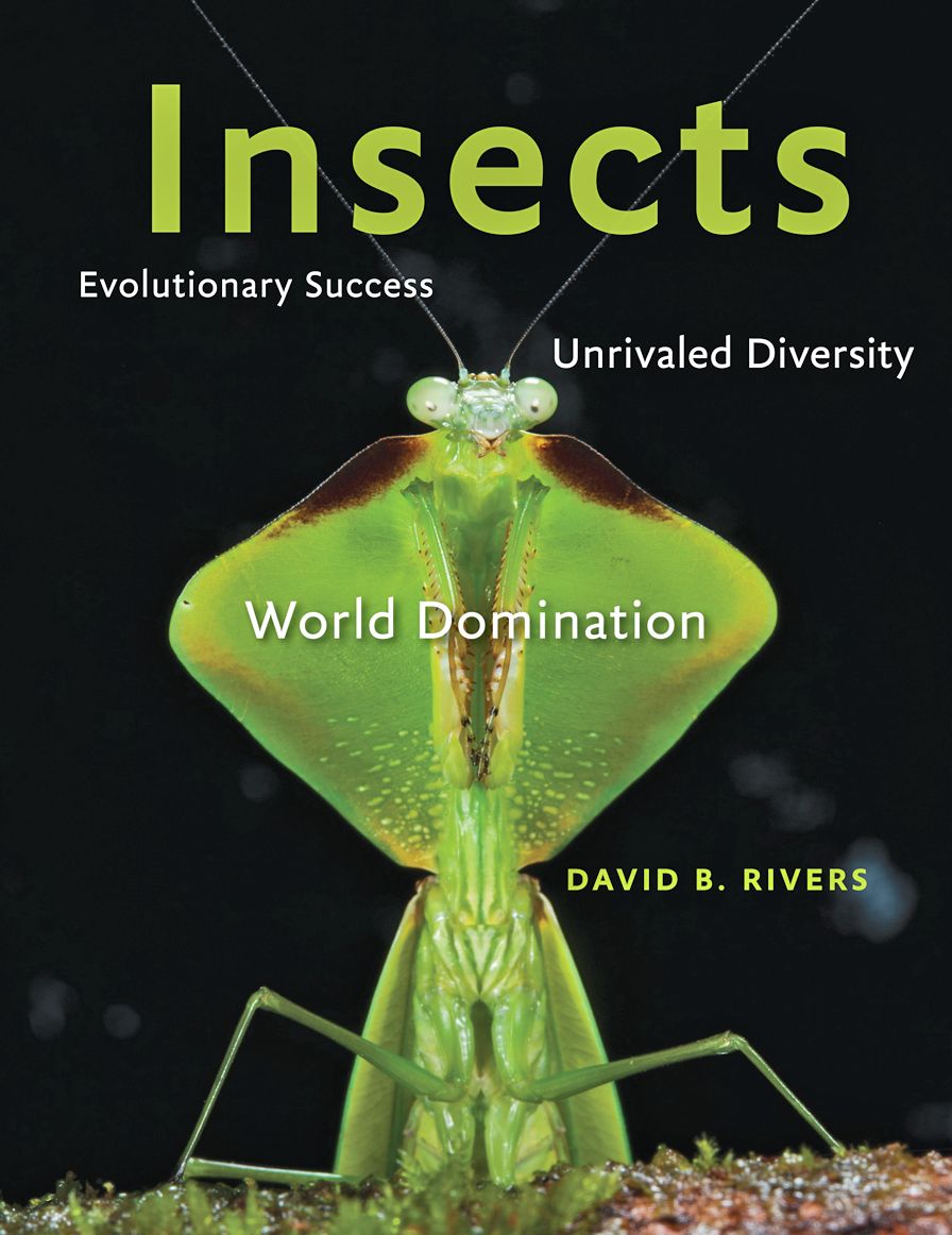 Insects: Evolutionary Success, Unrivaled Diversity, and World Domination