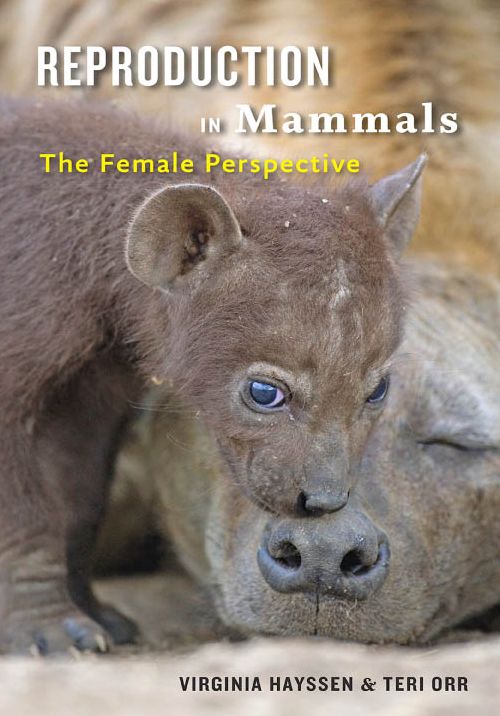 Reproduction in Mammals: The Female Perspective