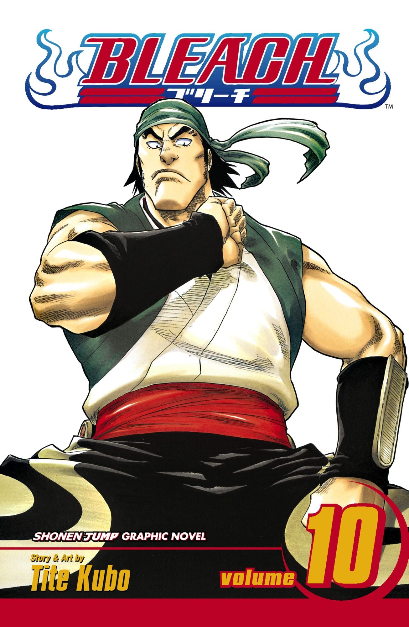 Bleach, Volume 10: Tattoo on the Sky