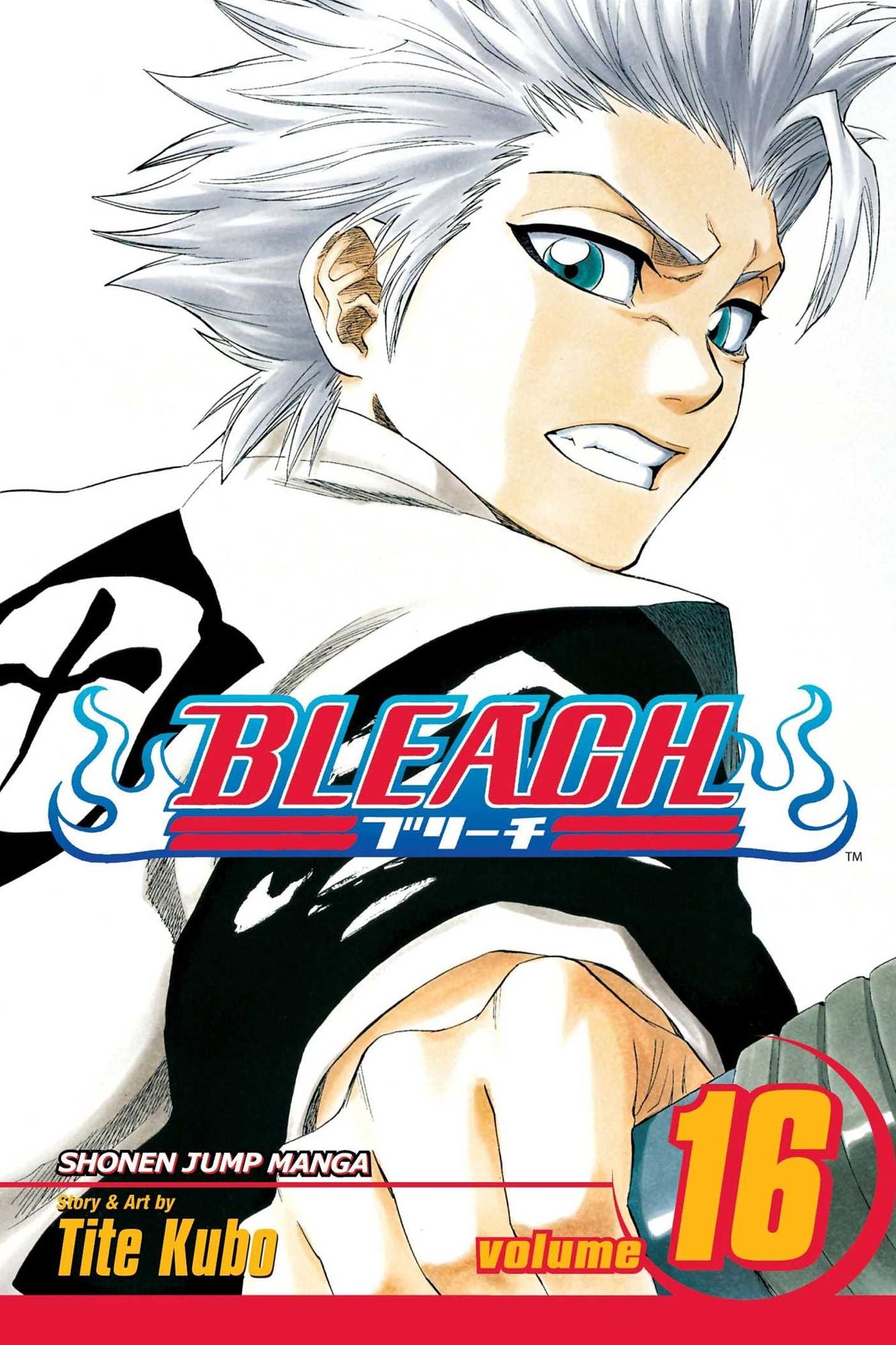 Bleach, Volume 16: Night of Wijnruit