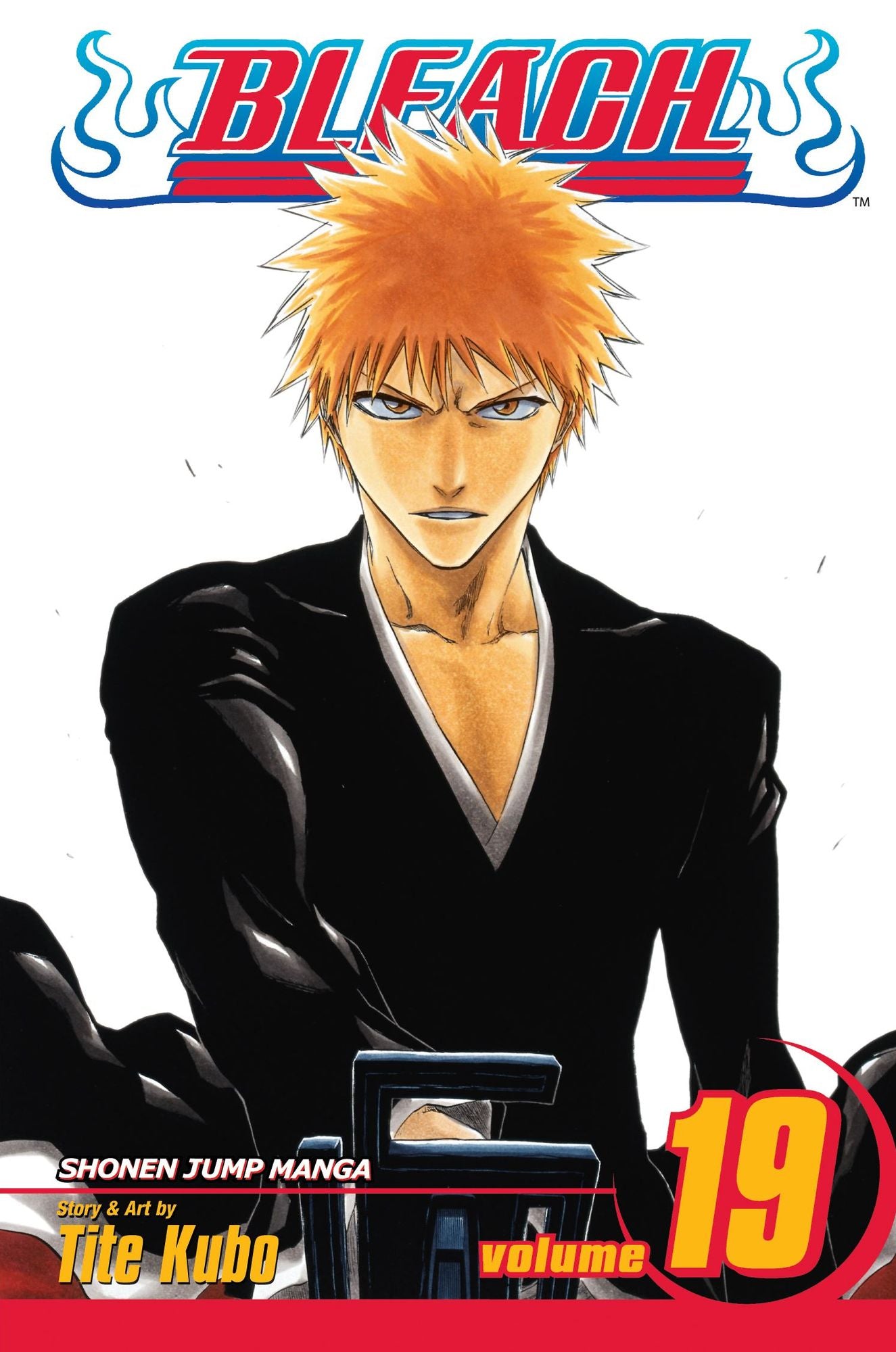 Bleach, Volume 19: The Black Moon Rising