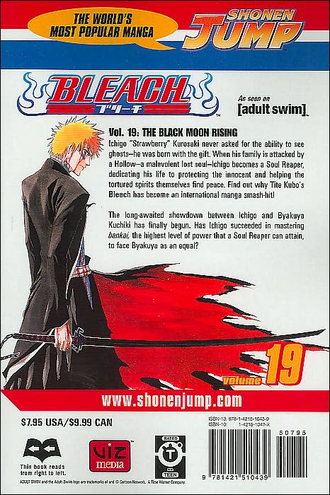 Bleach, Volume 19: The Black Moon Rising