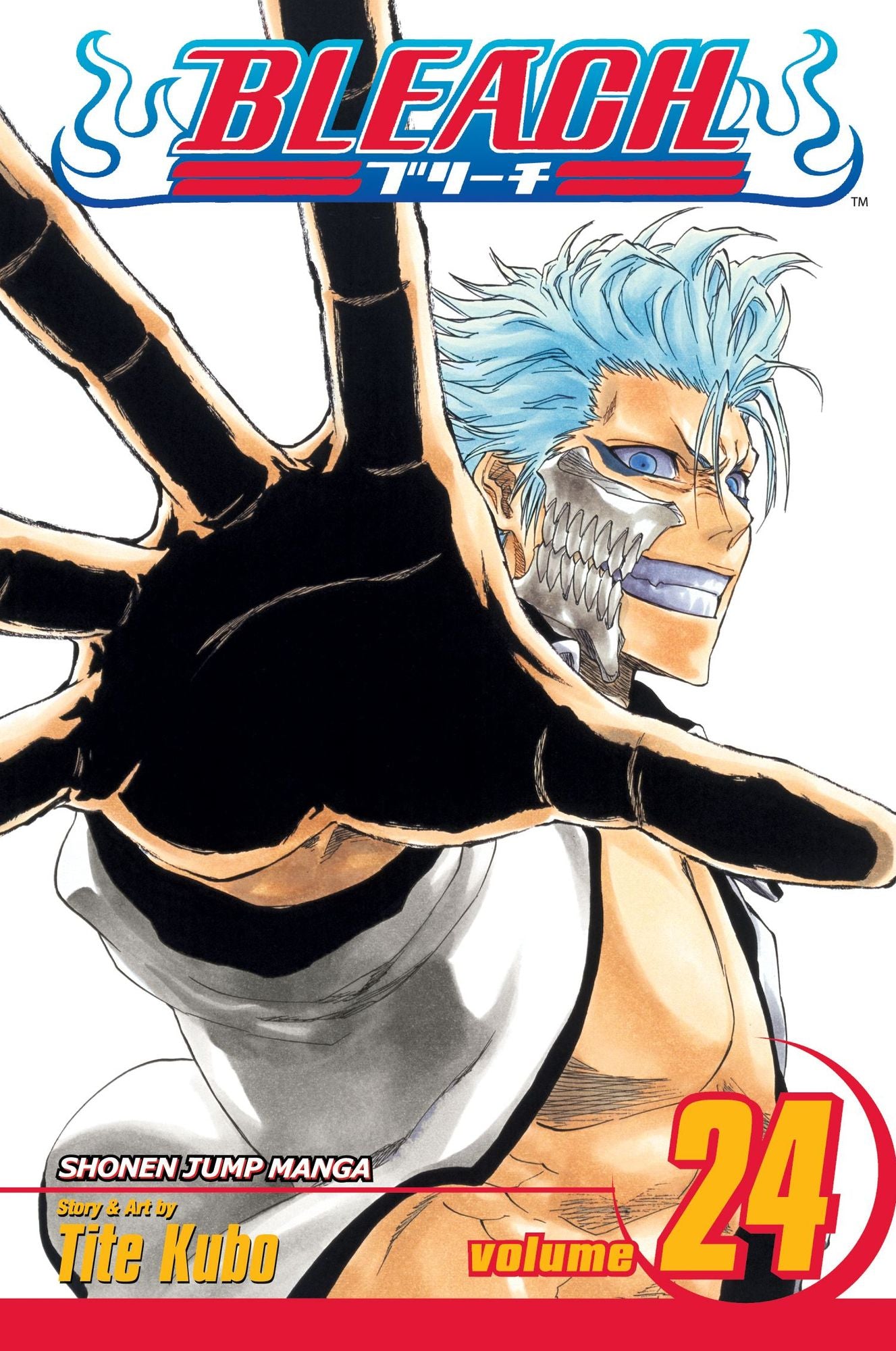 Bleach, Volume 24: Immanent God Blues