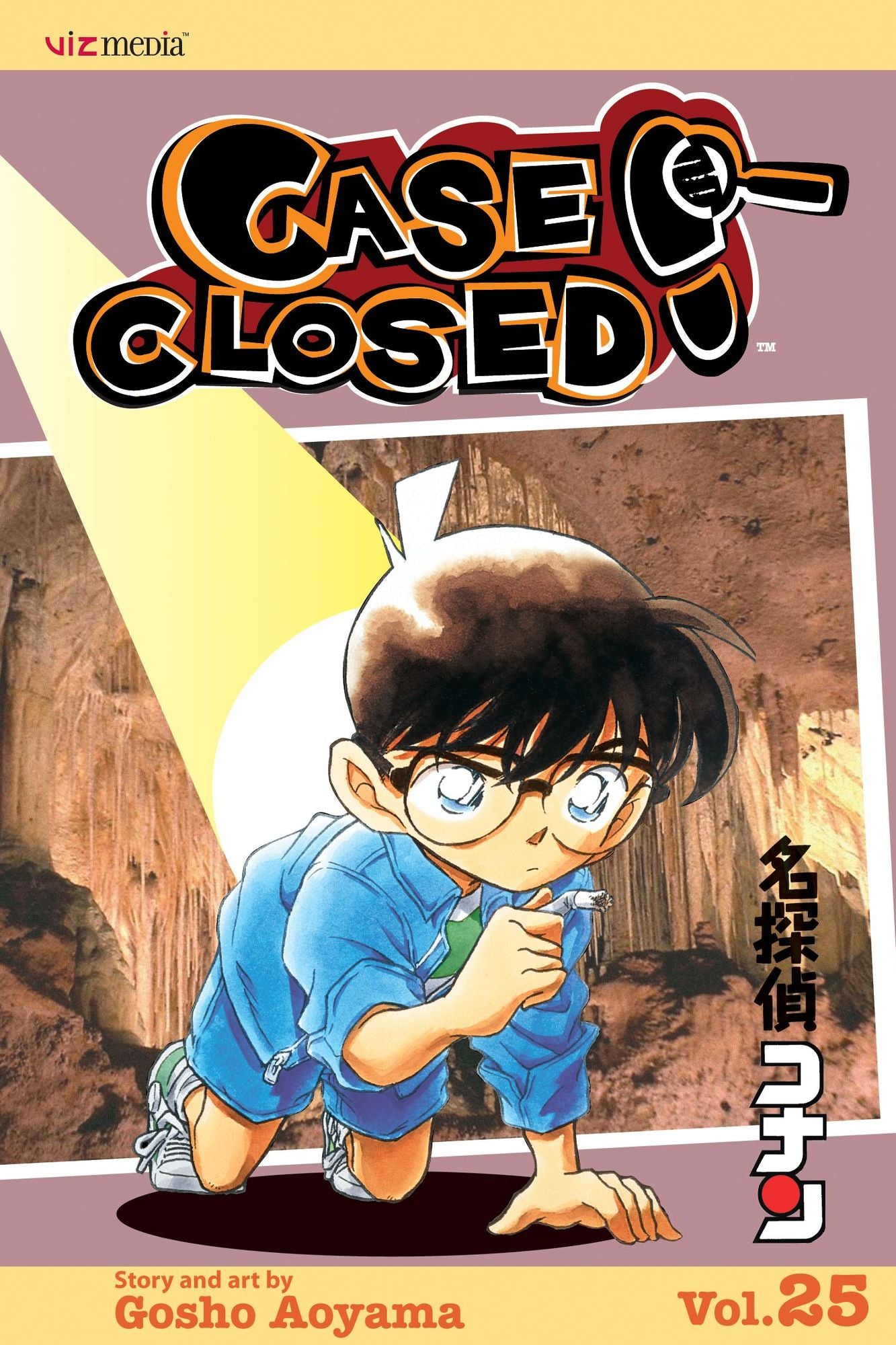 Case Closed, Volume 25