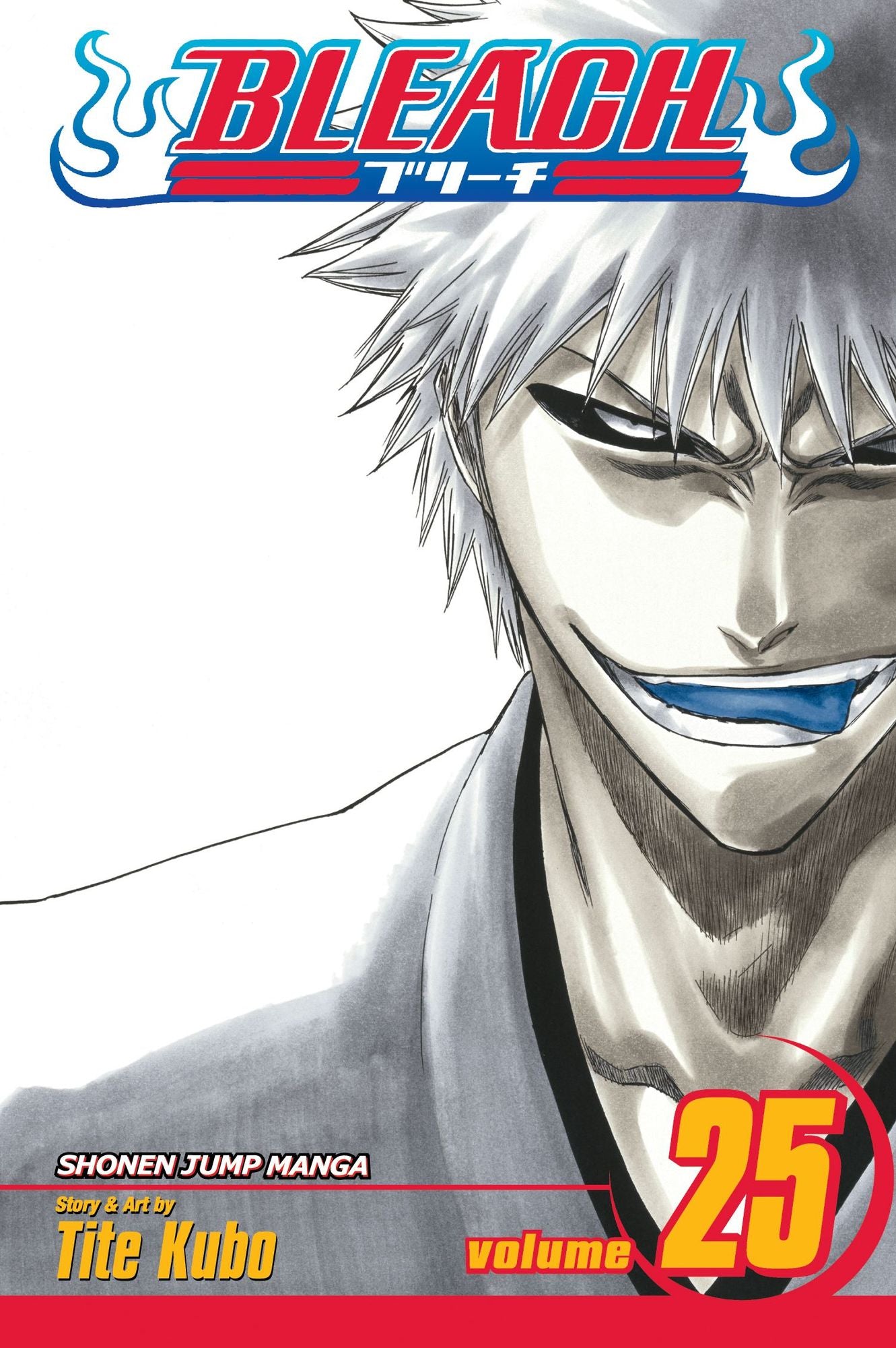 Bleach, Volume 25: No Shaking Throne