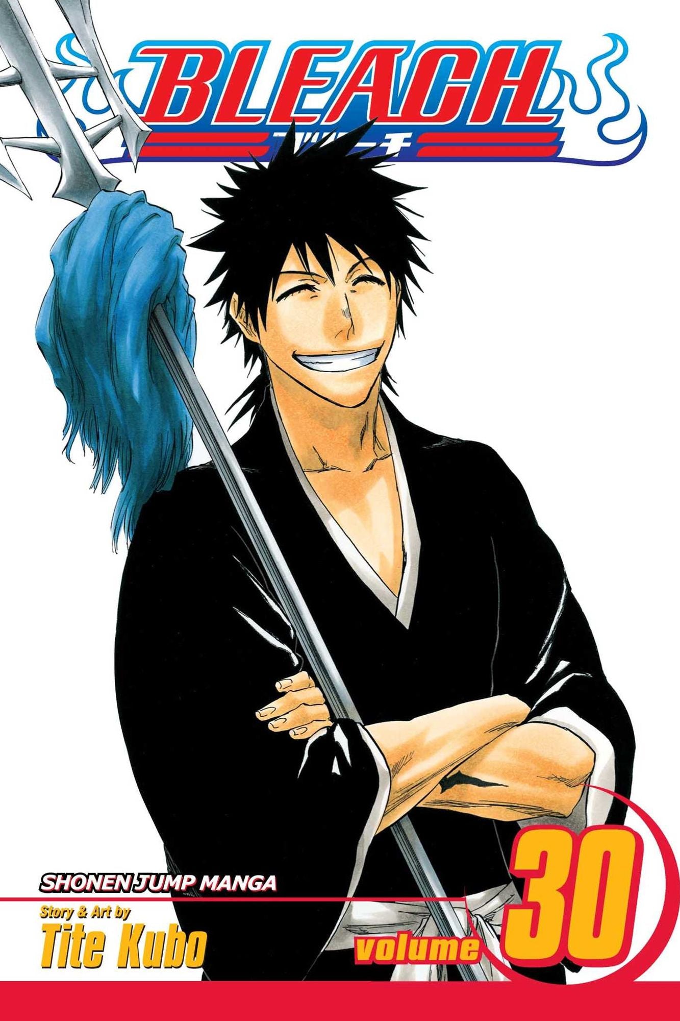 Bleach, Volume 30: There Is No Heart without You
