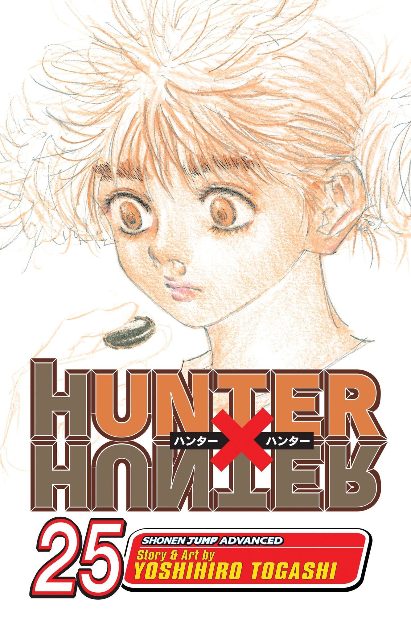 Hunter x Hunter, Volume 25
