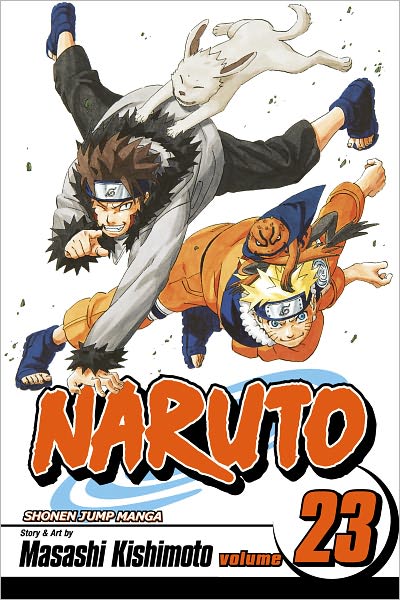 Naruto, Vol. 23: Predicament