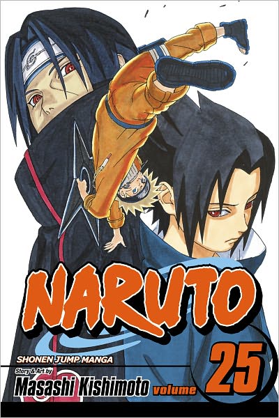 Naruto, Vol. 25: Brothers
