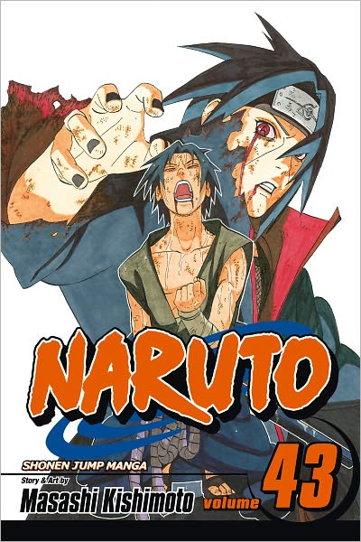 Naruto, Vol. 43: The Man with the Truth