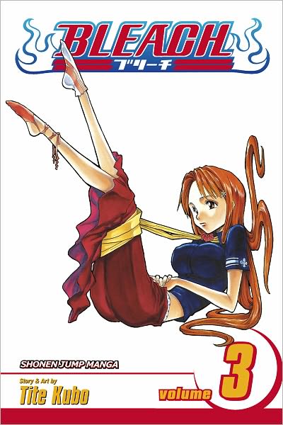 Bleach, Vol. 3: Memories in the Rain