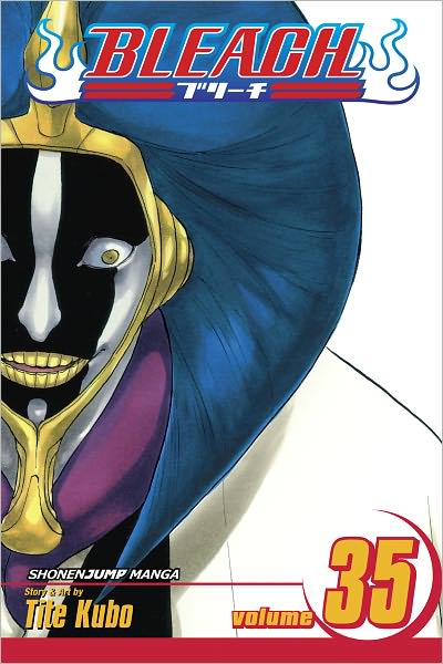 Bleach, Vol. 35: Higher Than the Moon