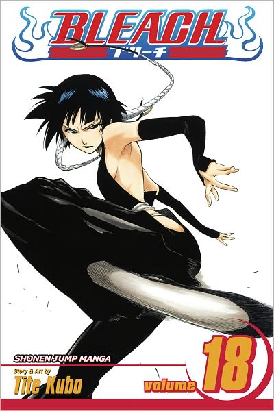 Bleach, Vol. 18: The Deathberry Returns