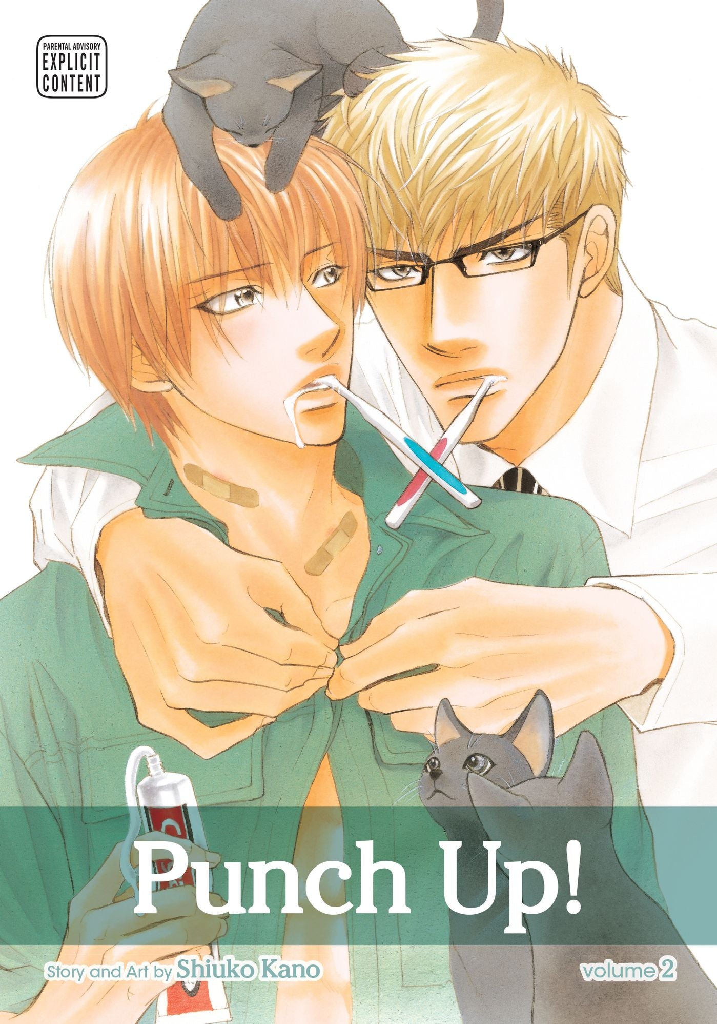 Punch Up!, Vol. 2 (Yaoi Manga)