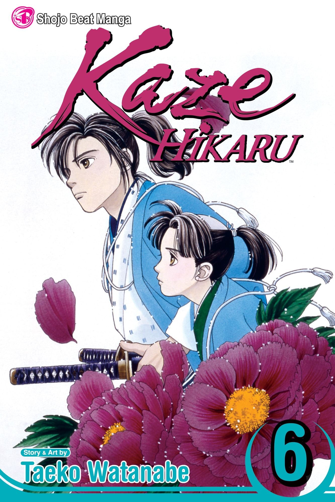 Kaze Hikaru, Vol. 6